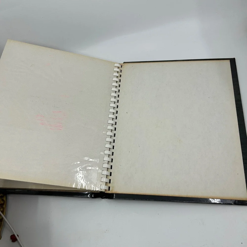 Vintage Swan Bird Babies Paper Photo Album 70s Keepsake Gifting Cottagecore